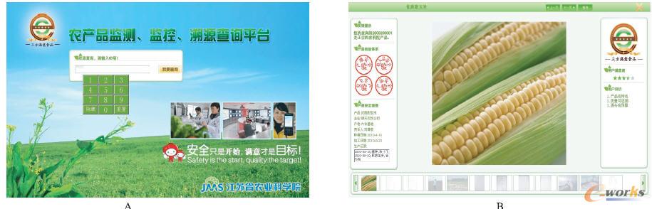 查詢首頁(A)和查詢結果頁(B)