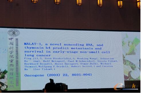  (L朷ǾaMALAT-1 RNAcΰPϵ)